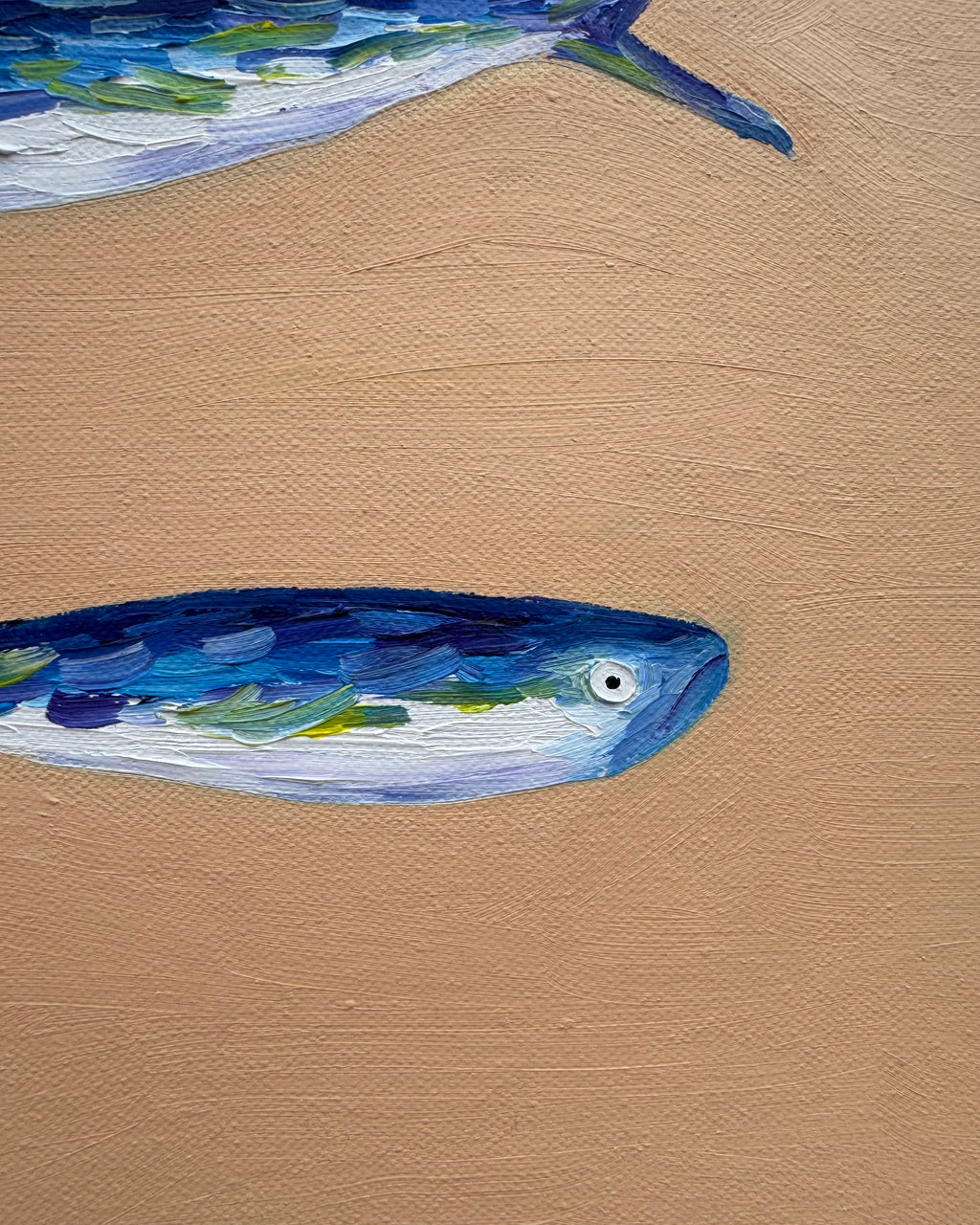 Fish
